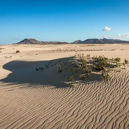 Acoran By Sea There Fuerteventura *