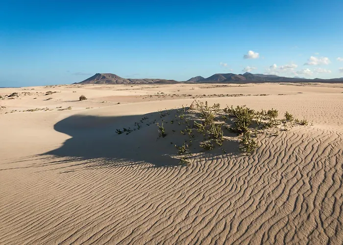 Acoran By Sea There Fuerteventura *